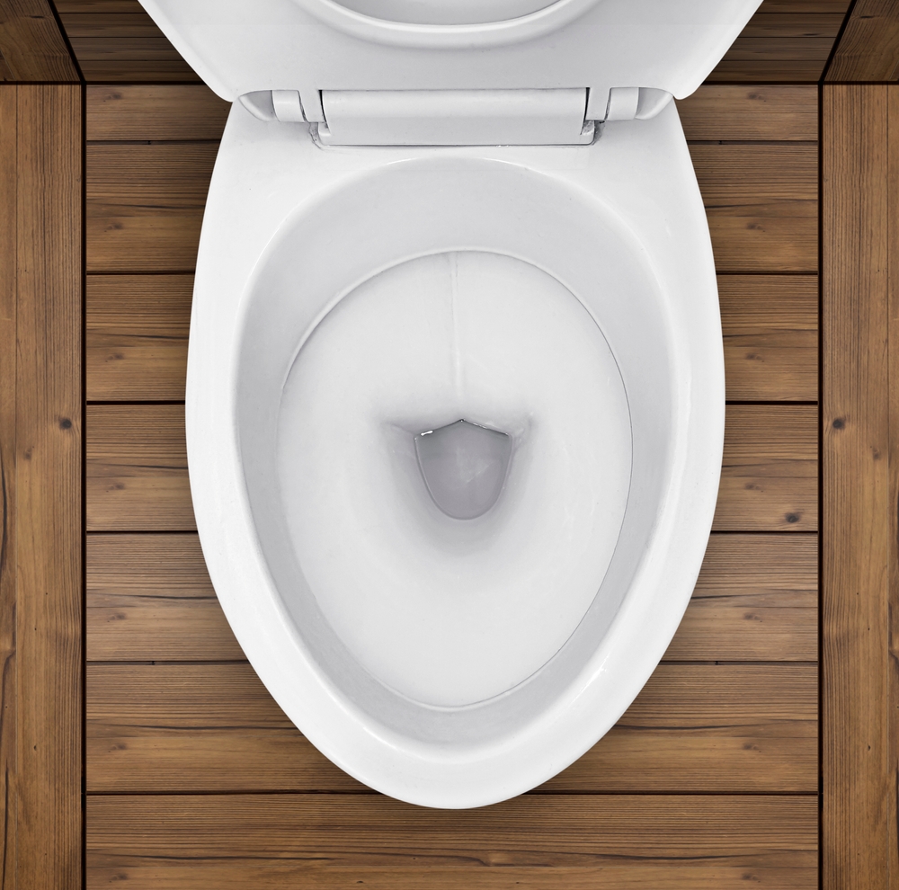 Toilet plumbing services